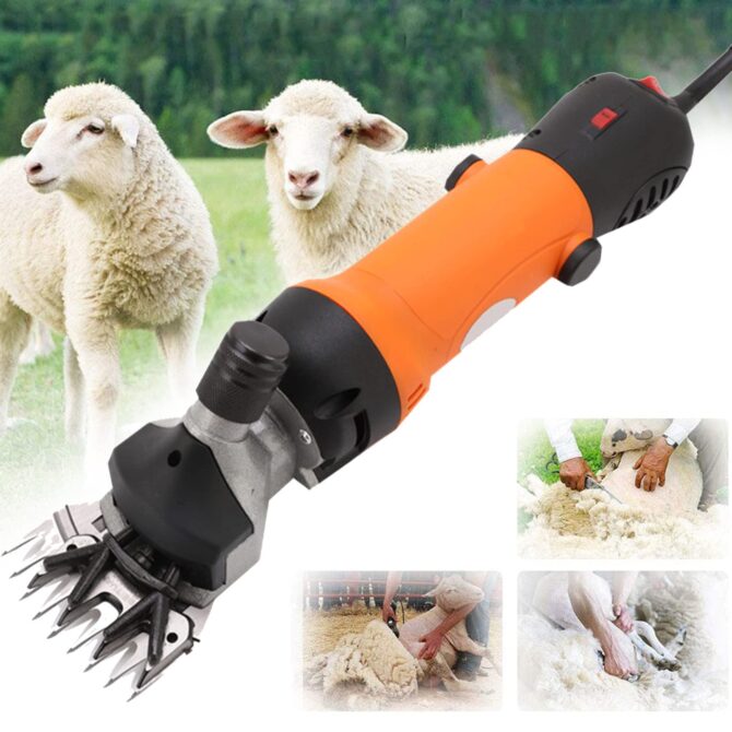 Tondeuse électrique professionnelle 800 W, pour moutons, chèvres, bovins et animaux domestiques, orange - 220 V